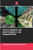 Teoria dipolar da eletricidade e do magnetismo
