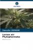 Lernen wir Phytopharmaka