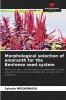 Morphological selection of amaranth for the Beninese seed system