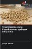 Trasmissione dello Pseudomonas syringae nella soia