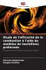 Étude de l'efficacité de la combustion à l'aide de modèles de tourbillons préformés