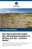 Die Herausforderungen der Klimadatenanalyse in Afrika auf der „letzten Meile