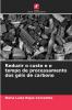 Reduzir o custo e o tempo de processamento dos géis de carbono