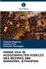 HONIG VCA IN AUSGEWÄHLTEN KEBELES DES BEZIRKS ABE DONGORO ÄTHIOPIEN
