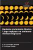 Badanie za?mienia S?o?ca i jego wp?ywu na zmienne meteorologiczne