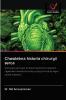 Chwalebna historia chirurgii serca