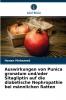 Auswirkungen von Punica granatum und/oder Sitagliptin auf die diabetische Nephropathie bei männlichen Ratten