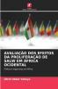 AVALIAÇÃO DOS EFEITOS DA PROLIFERAÇÃO DE SALW EM ÁFRICA OCIDENTAL