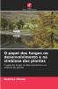 O papel dos fungos no desenvolvimento e na simbiose das plantas