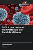 Tef1 è una proteina multifattoriale del Candida albicans