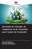 Durabilité de l'énergie de l'ingénierie et de l'économie pour l'avenir de l'humanité
