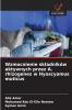 Wzmocnienie składników aktywnych przez A. rhizogenes w Hyoscyamus muticus