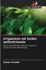 Irrigazione nel Sudan settentrionale