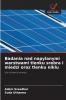Badania nad napylanymi warstwami tlenku srebra i miedzi oraz tlenku niklu