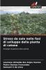 Stress da sale nelle fasi di sviluppo della pianta di cotone