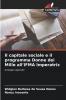 Il capitale sociale e il programma Donne dei Mille all'IFMA Imperatriz