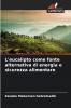 L'eucalipto come fonte alternativa di energia e sicurezza alimentare
