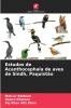 Estudos de Acanthocephala de aves de Sindh Paquistão