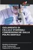 ISOLAMENTO DI CELLULE STAMINALI CONDROGENICHE DALLA POLPA DENTALE