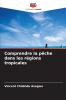 Comprendre la pêche dans les régions tropicales
