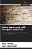 Wood treatment with inorganic materials