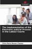 The Implementation of the Electronic Judicial Process in the Labour Courts