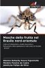 Mosche della frutta nel Brasile nord-orientale