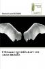 L'Homme qui réparait les ailes brisées