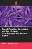 Identificação Detecção de Bactérias e Staphylococcus Aureus Gene