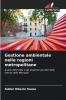 Gestione ambientale nelle regioni metropolitane