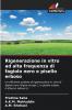 Rigenerazione in vitro ad alta frequenza di fagiolo nero e pisello erboso