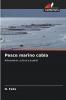 Pesce marino cobia