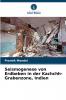 Seismogenese von Erdbeben in der Kachchh-Grabenzone Indien
