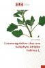 L'osmorégulation chez une halophyte Atriplex halimus L.