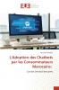 L'Adoption des Chatbots par les Consommateurs Marocains