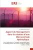 Apport du Management dans la création d'une Microcentrale Hydraulique