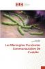 Les Méningites Purulentes Communautaires De L'adulte