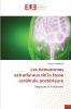 Les hématomes extraduraux de la fosse cérébrale postérieure
