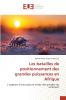 Les batailles de positionnement des grandes puissances en Afrique