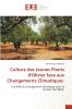 Culture des Jeunes Plants d'Olivier face aux Changements Climatiques