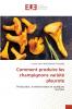 Comment produire les champignons variété pleurote