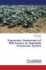Ergonomic Assessment of Risk Factors in Vegetable Production System