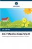 Ein virtuelles Experiment