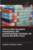 Ghana jako korytarz tranzytowy dla pozbawionego dostępu do morza Burkina Faso