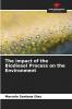 The impact of the Biodiesel Process on the Environment