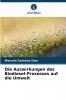Die Auswirkungen des Biodiesel-Prozesses auf die Umwelt