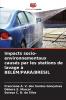 Impacts socio-environnementaux causés par les stations de lavage à BELÉM/PARÁ/BRÉSIL