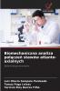 Biomechaniczna analiza połączeń stawów atlanto-axialnych