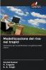 Modellizzazione del riso nei tropici