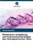 Molekulare Umgebung und Expressionsstrategie des therapeutischen Ziels